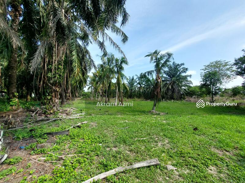 Agricultural Land for Sale in Taman La Casa (Lunas) - Akram Azmi - PropertyGuru.com.my