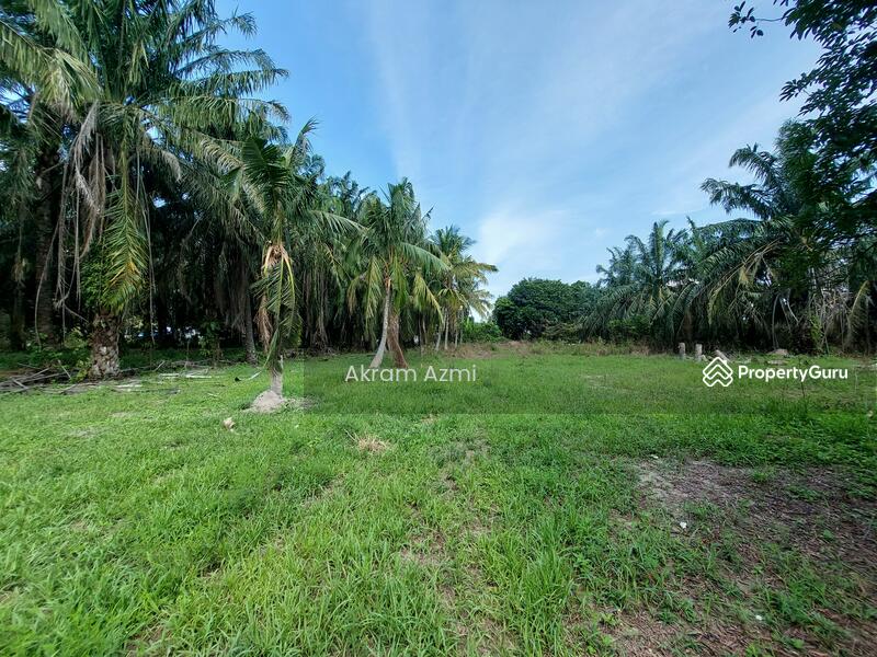 Agricultural Land for Sale in Taman La Casa (Lunas) - Akram Azmi - PropertyGuru.com.my