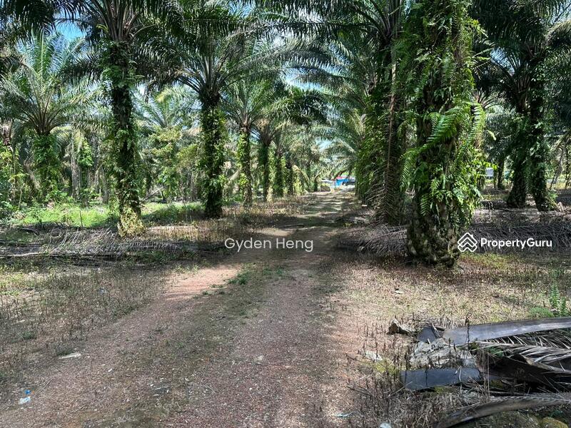 For Sale - Kampung Ulu Pulai