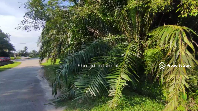 Untuk Dijual - KG GHICING SALAK TINGGI