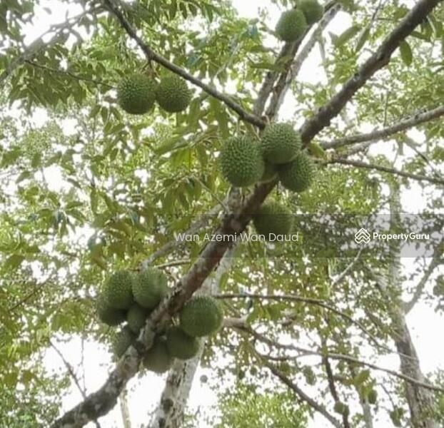 For Sale - Ulu Melaka, Langkawi