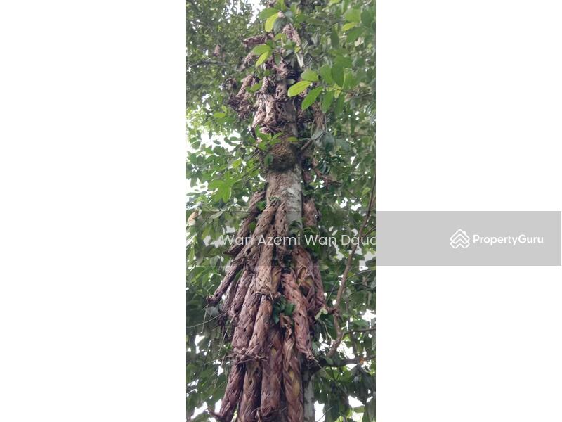 For Sale - Ulu Melaka, Langkawi