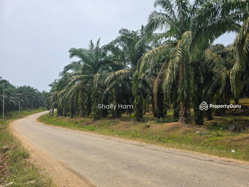 Untuk Dijual - Bukit jalil golf n country resort
