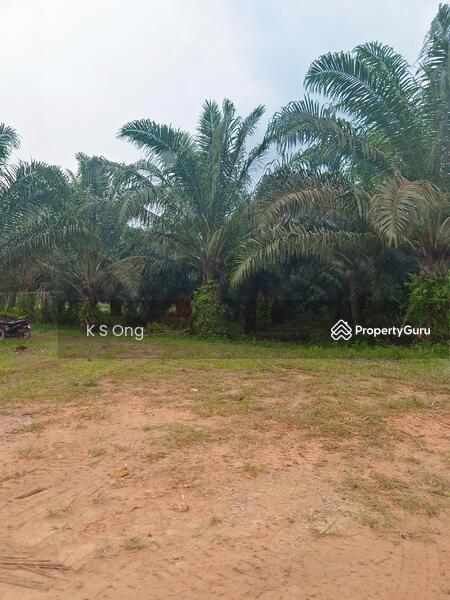 Agricultural Land for Sale in Paloh (Johor) - K S Ong - PropertyGuru.com.my