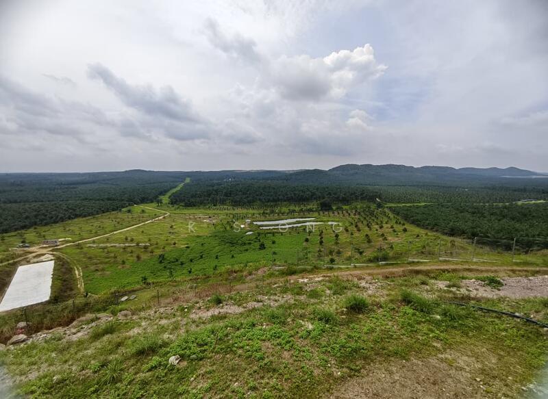 Agricultural Land for Sale in Paloh (Johor) - K S Ong - PropertyGuru.com.my