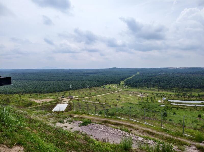 Agricultural Land for Sale in Paloh (Johor) - K S Ong - PropertyGuru.com.my