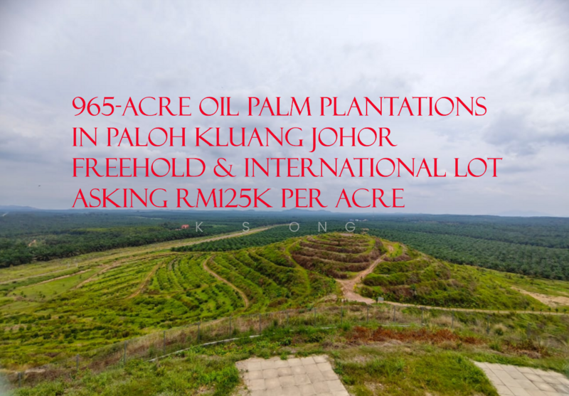 Untuk Dijual - Kluang Paloh 1000 acres Palm Oil Plantation For Sales