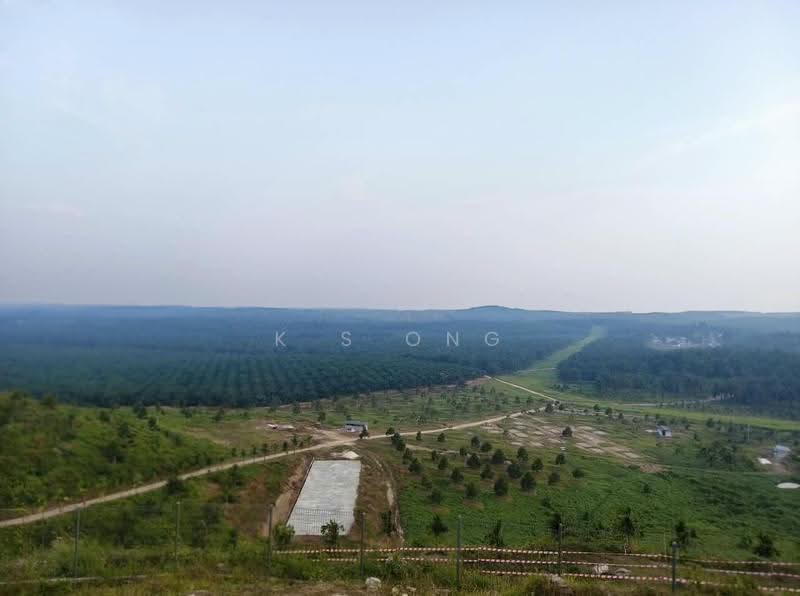 Agricultural Land for Sale in Paloh (Johor) - K S Ong - Exterior - PropertyGuru.com.my
