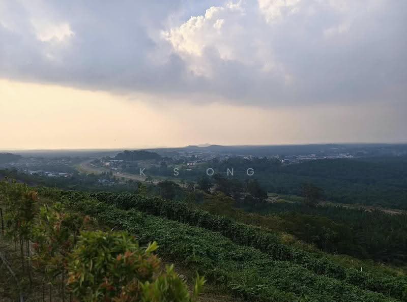 Agricultural Land for Sale in Paloh (Johor) - K S Ong - Exterior - PropertyGuru.com.my