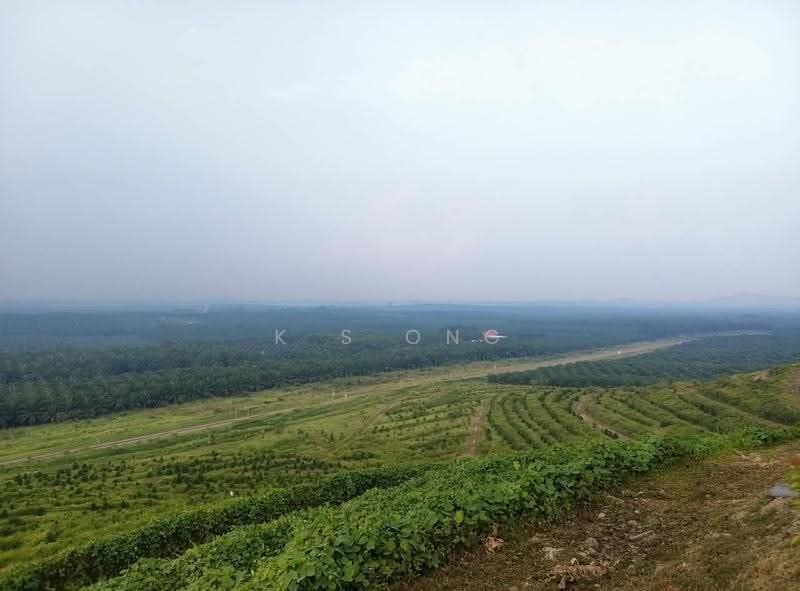 Agricultural Land for Sale in Paloh (Johor) - K S Ong - Exterior - PropertyGuru.com.my