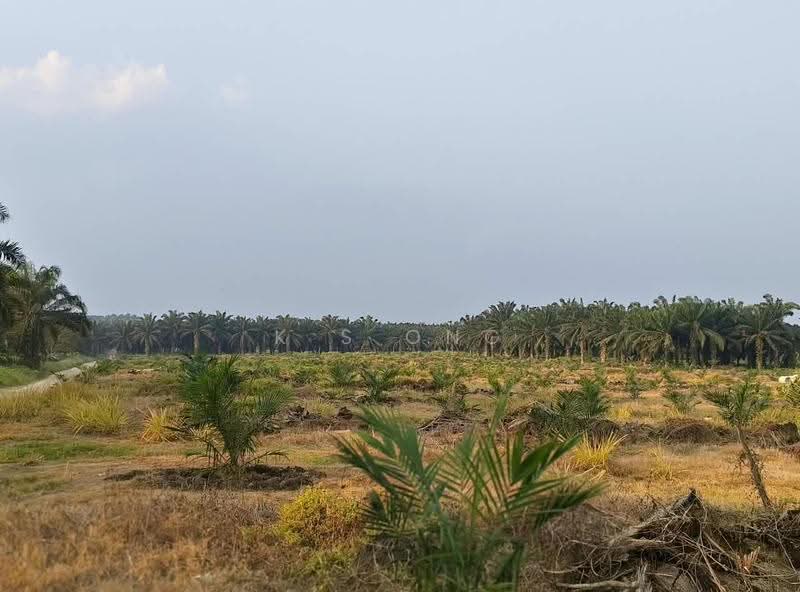 Agricultural Land for Sale in Paloh (Johor) - K S Ong - Exterior - PropertyGuru.com.my
