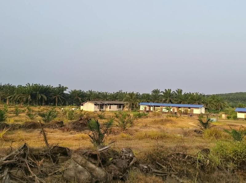 Agricultural Land for Sale in Paloh (Johor) - K S Ong - Exterior - PropertyGuru.com.my