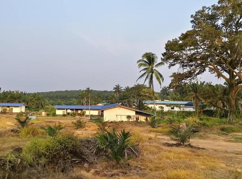 Agricultural Land for Sale in Paloh (Johor) - K S Ong - Exterior - PropertyGuru.com.my