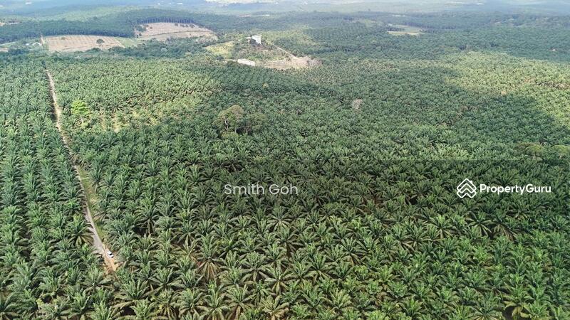 For Sale - Kota Tinggi @ Kampung Mawai Baharu Kelapa Sawit Land Cheap Sale~