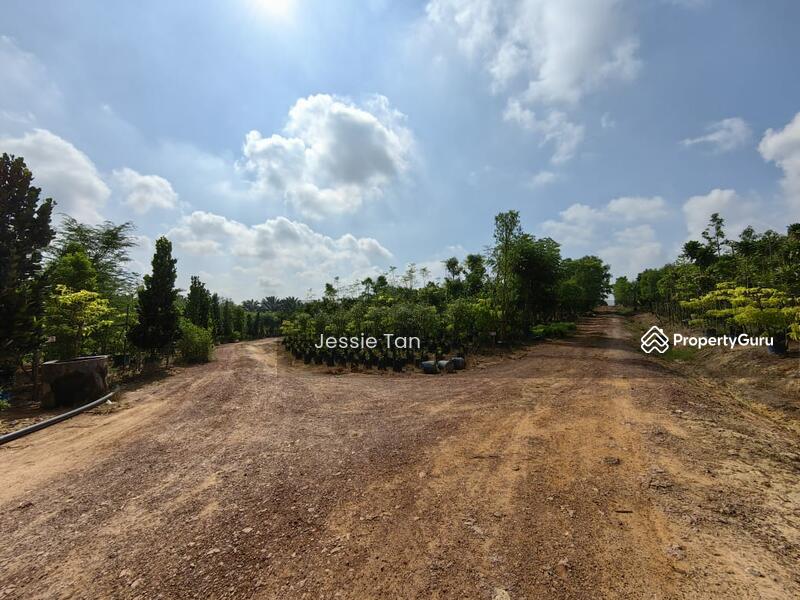 For Sale - yong peng yongs pengs