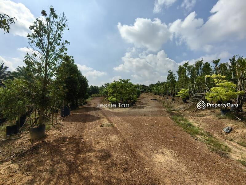 For Sale - yong peng yongs pengs