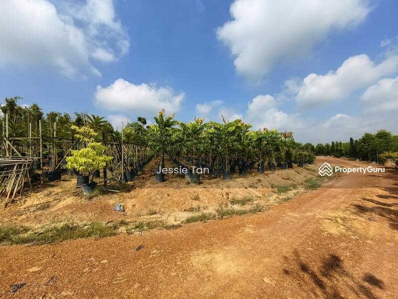 For Sale - yong peng yongs pengs