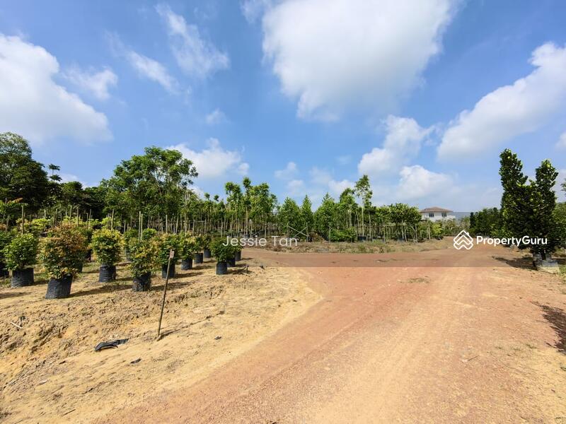 For Sale - yong peng yongs pengs