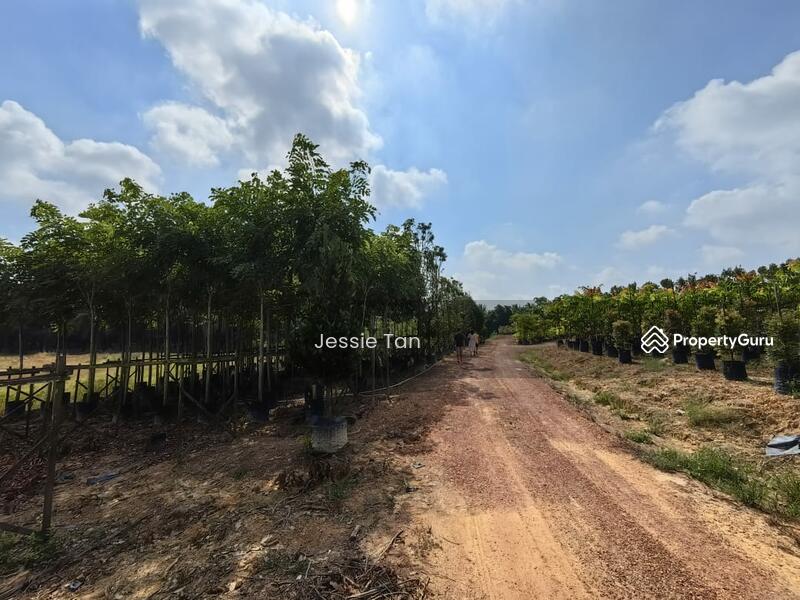 For Sale - yong peng yongs pengs