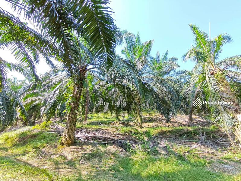 Untuk Dijual - sungai siput