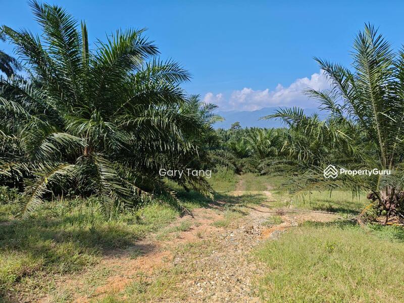 Untuk Dijual - sungai siput