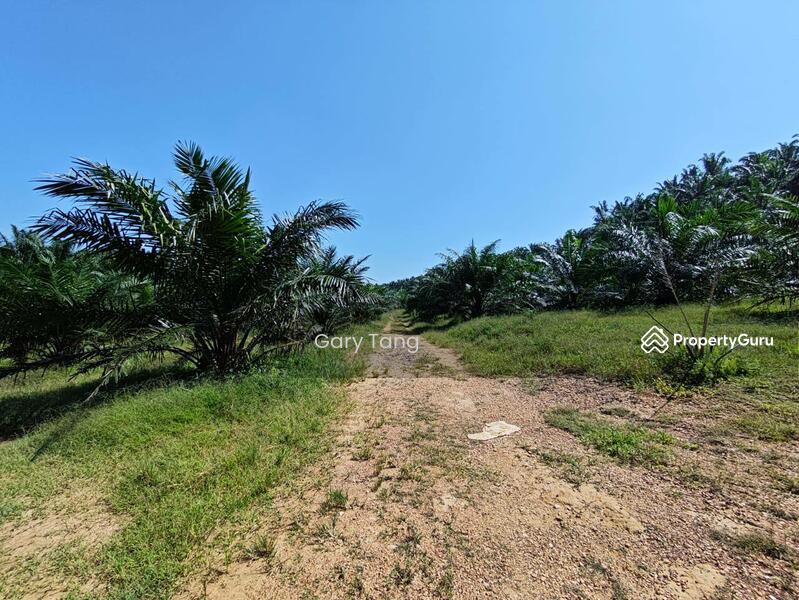 Untuk Dijual - sungai siput