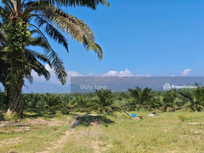 Untuk Dijual - sungai siput