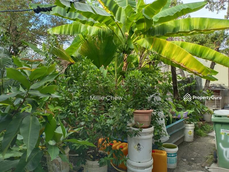 For Sale - Island park