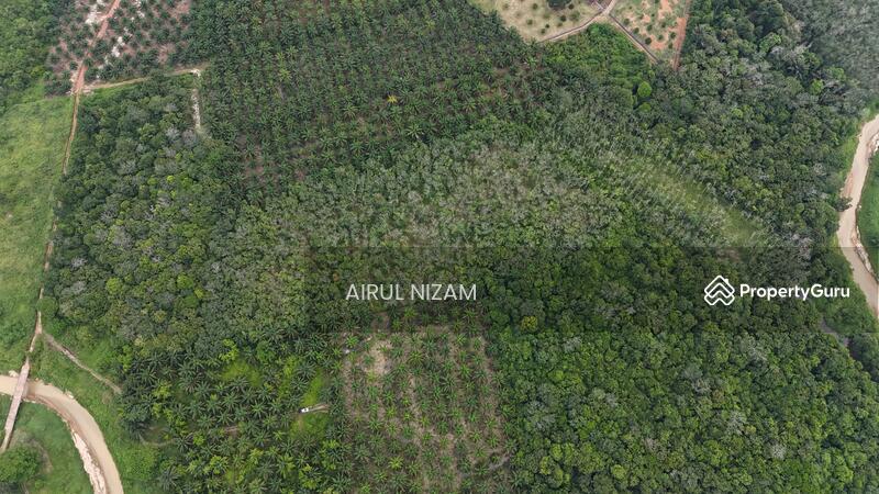For Sale - Sungai Segamat Kanan, Segamat