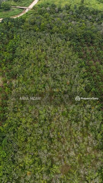 For Sale - Sungai Segamat Kanan, Segamat