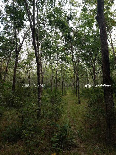 For Sale - Sungai Segamat Kanan, Segamat