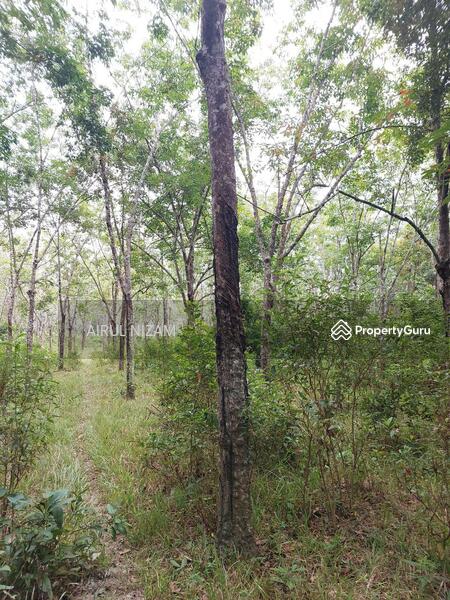For Sale - Sungai Segamat Kanan, Segamat
