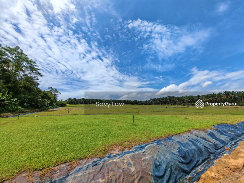 For Sale - Medium Industrial Land @ Sungai Tiram, Ulu Tiram