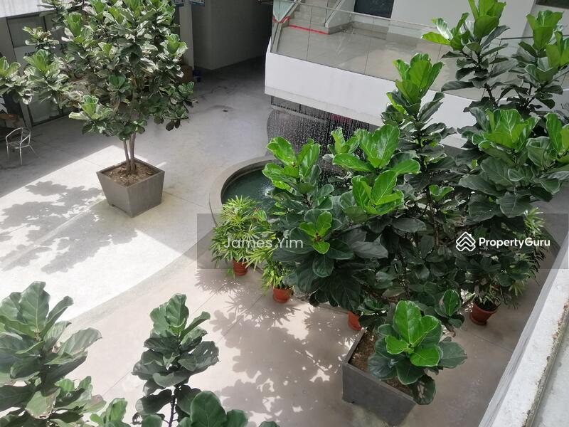 view from office 2