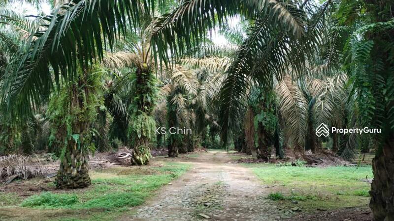 Untuk Dijual - Simpang Renggam