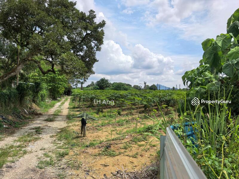 For Sale - Lunas