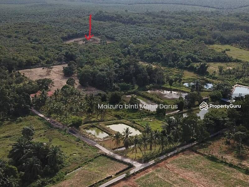 For Sale - Tanah Pertanian di Sungai Bioh, Lenggeng