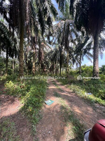 For Sale - Tanah Pertanian di Sungai Bioh, Lenggeng