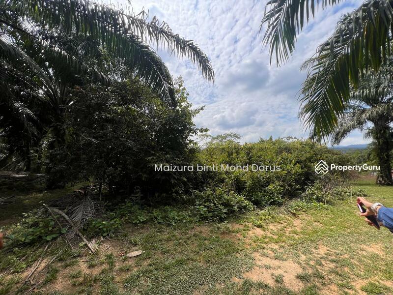 For Sale - Tanah Pertanian di Sungai Bioh, Lenggeng