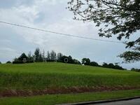 For Sale - RM 85psf Land @ Leisure Farm
