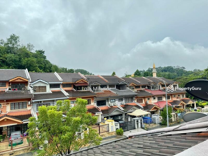 For Sale - Laman Oakleaf