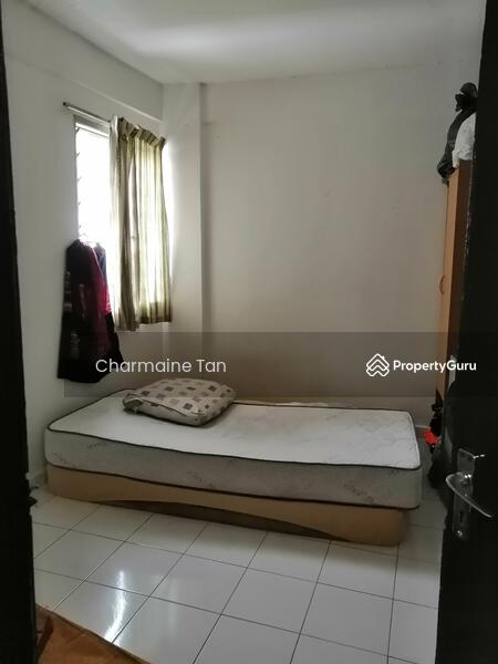 Untuk Dijual - Merpati
