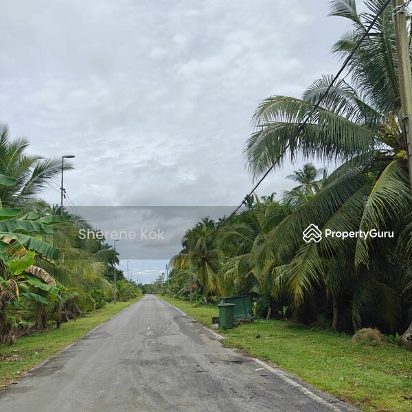 Untuk Dijual - Agricultural Land @ Bako Muara Tebas Jalan Sungai Bako