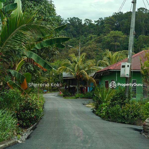 Untuk Dijual - Agricultural Land @ Bako Muara Tebas Jalan Sungai Bako