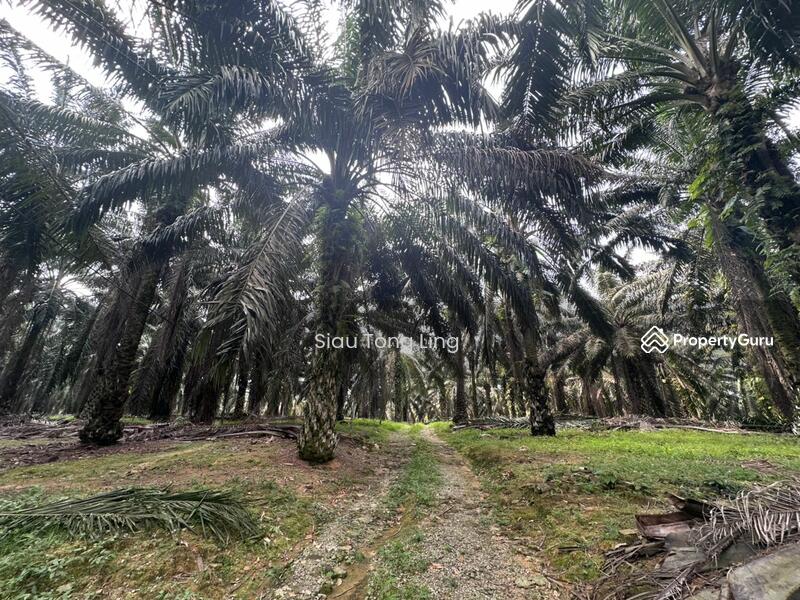 For Sale - kota tinggi taman mawai johor