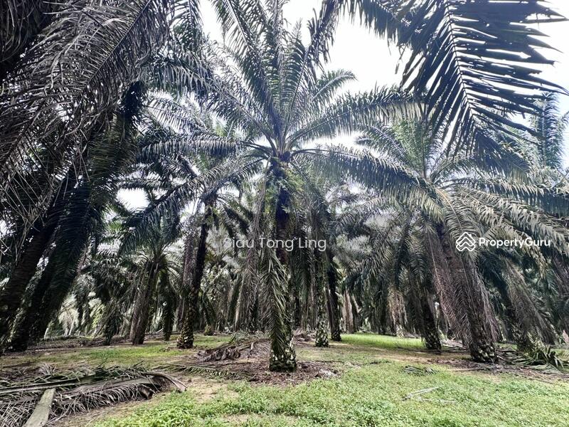 For Sale - kota tinggi taman mawai johor