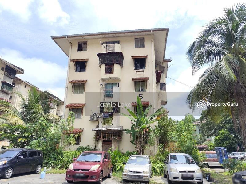 Untuk Dijual - Gugusan Lily