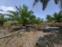 For Sale - 100 Acres Freehold Oil Palm Kemayan Teriang