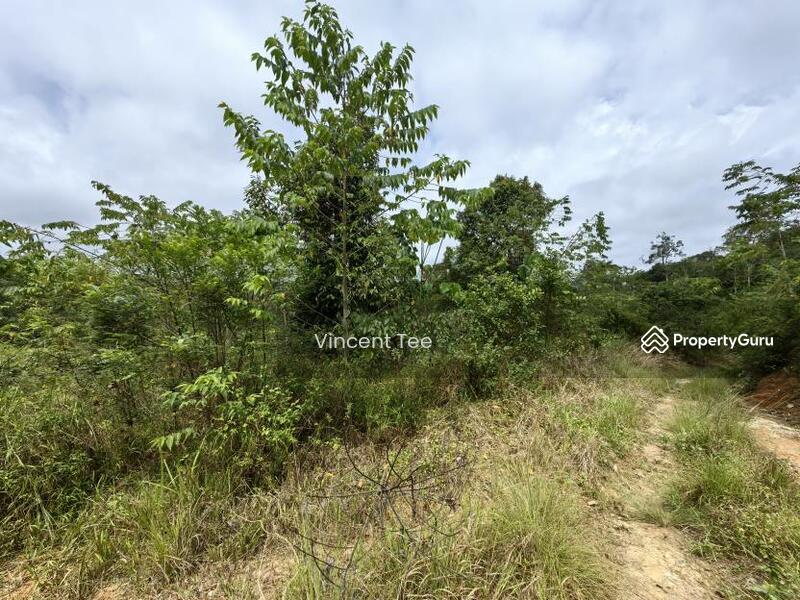 For Sale - 9 Acres Agriculture Land Ulu Lepar Gali Raub