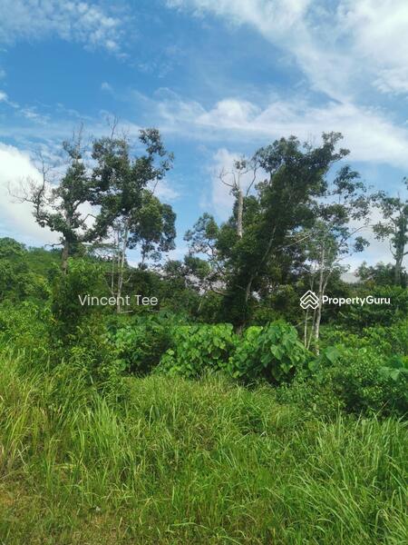 For Sale - 9 Acres Agriculture Land Ulu Lepar Gali Raub